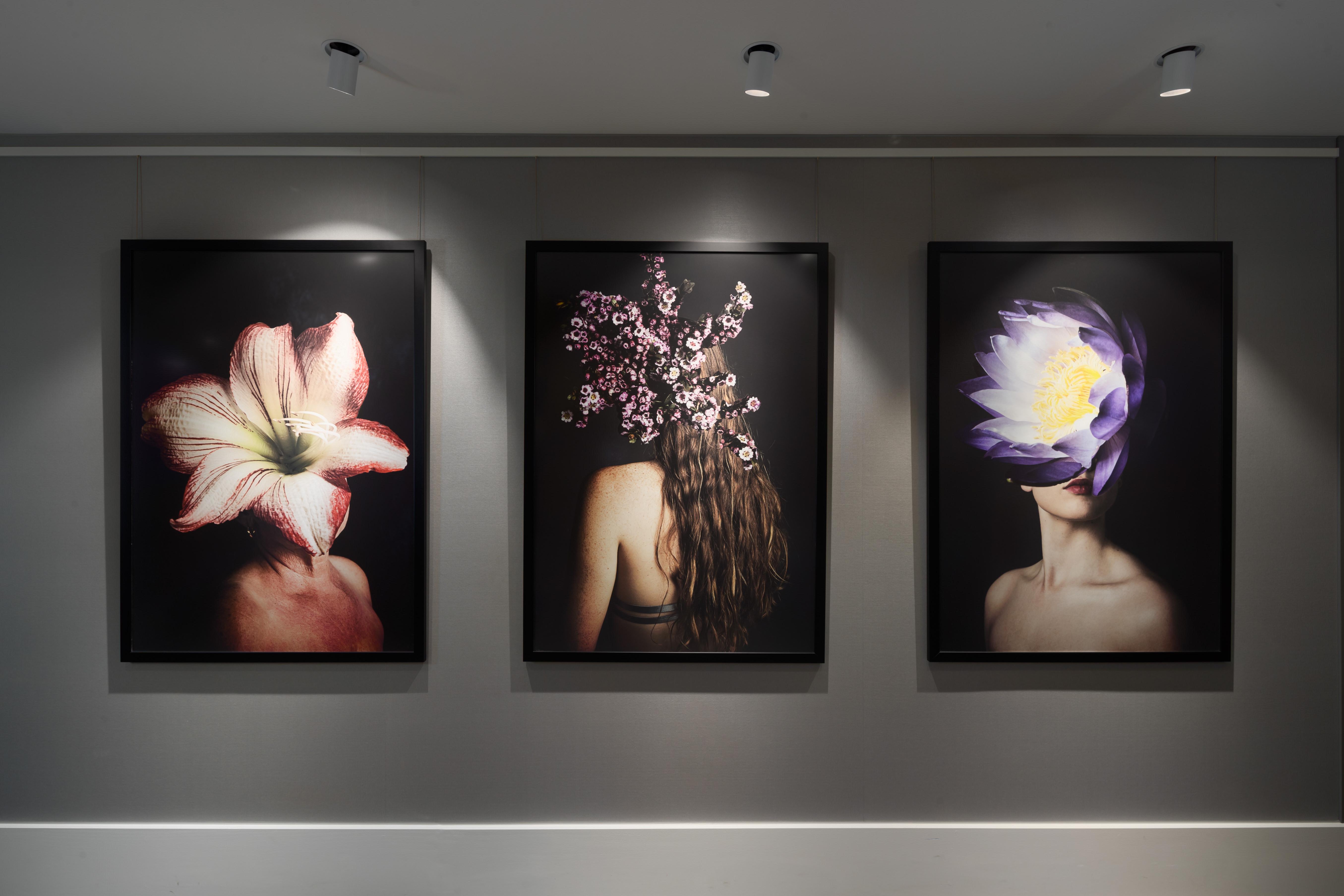 Hotel Crystalbrook Bailey Cairns Exterior foto The Flower Series